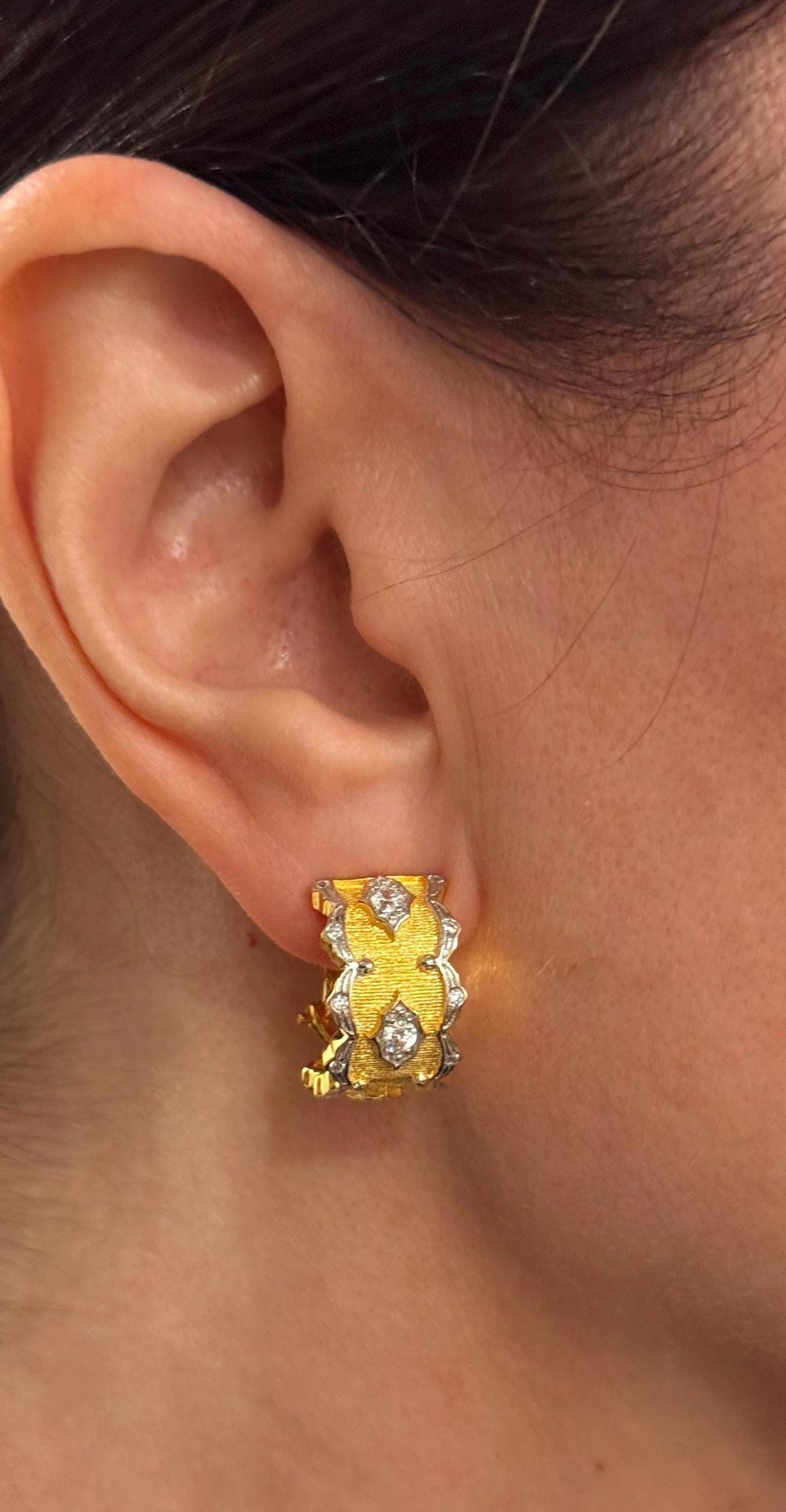 18k Hand-Brushed Stella Reale Earring