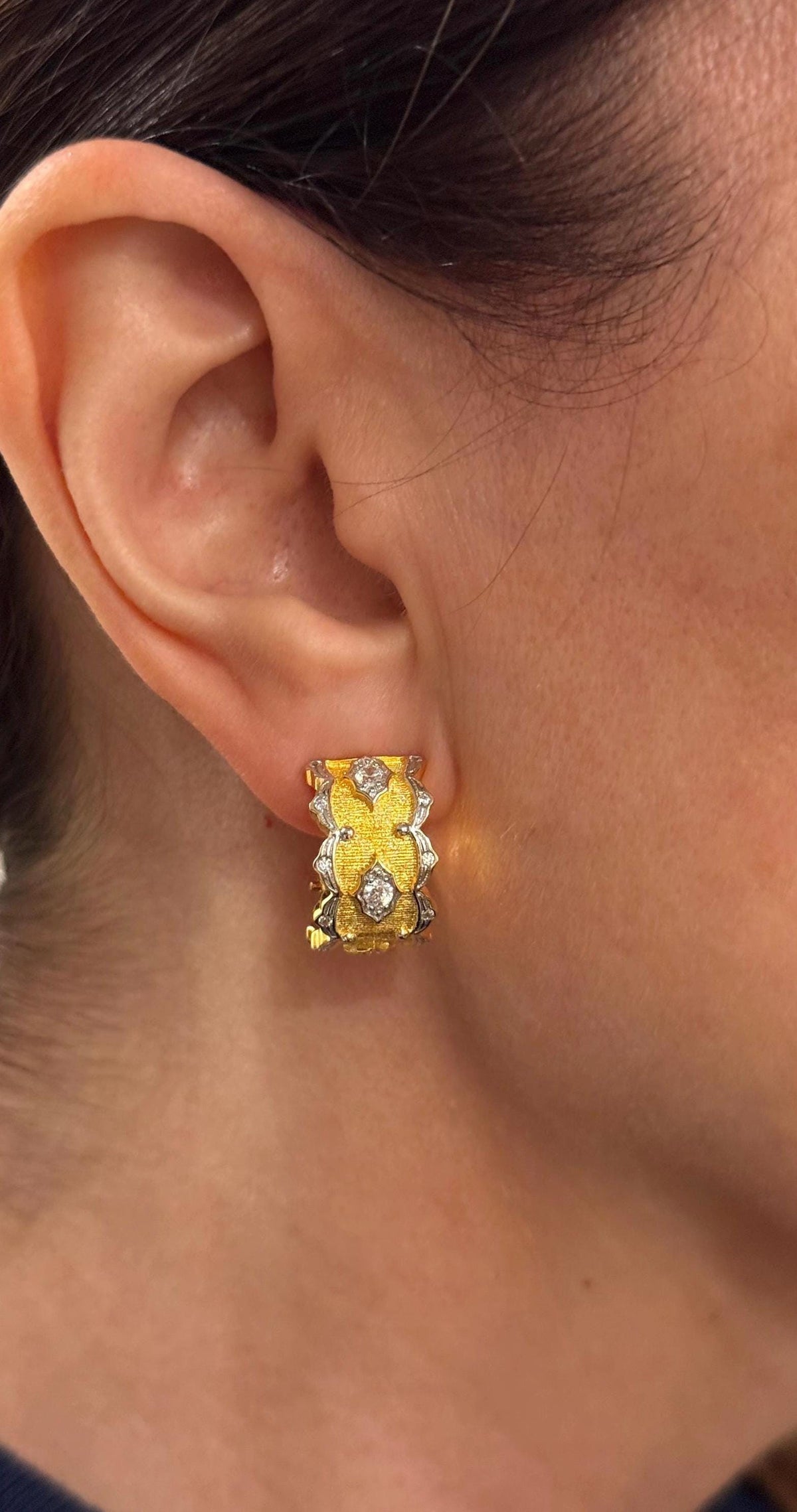 18k Hand-Brushed Stella Reale Earring