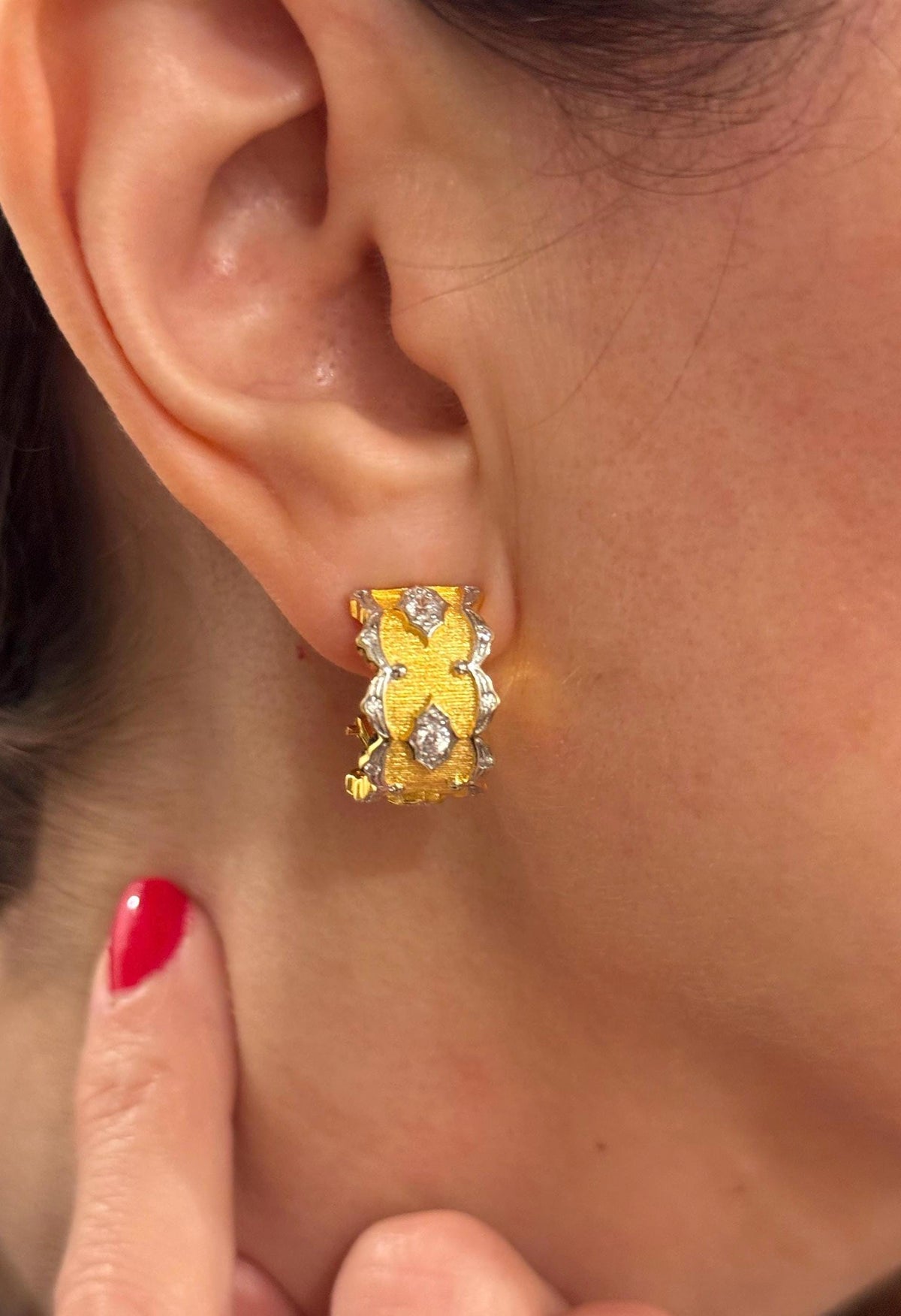 18k Hand-Brushed Stella Reale Earring