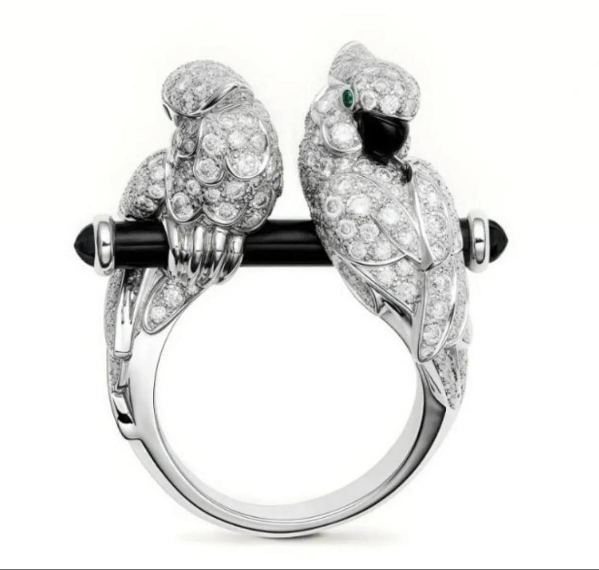 Parrot Ring